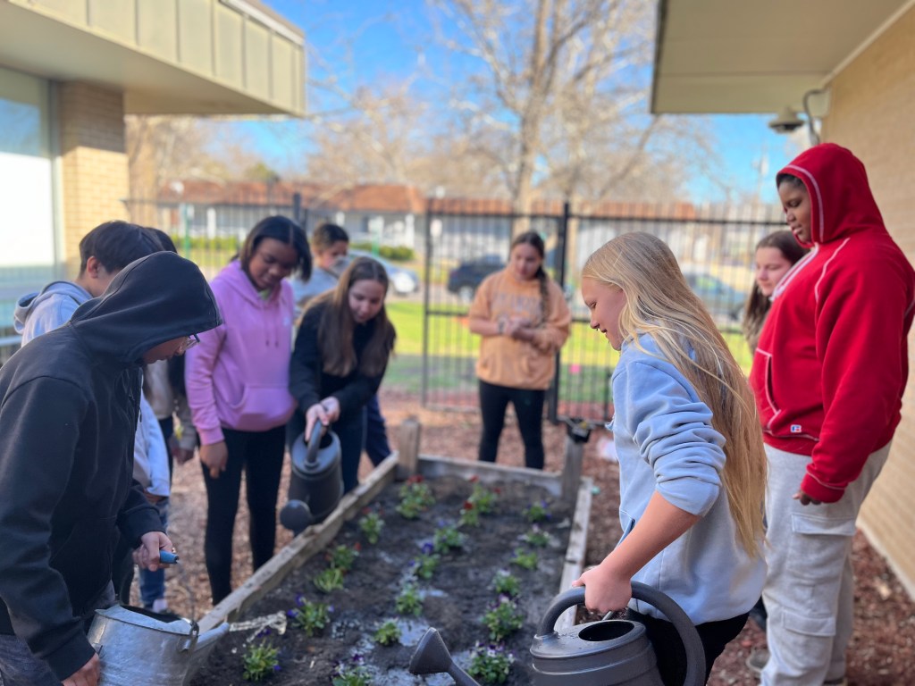 A group of middle school students tend to their new community garden by watering some violas.